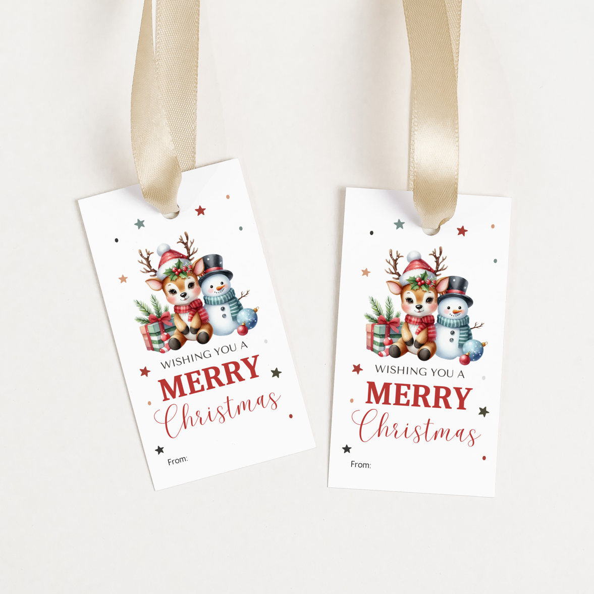 DIGITAL Merry Christmas Gift Tag (1044)