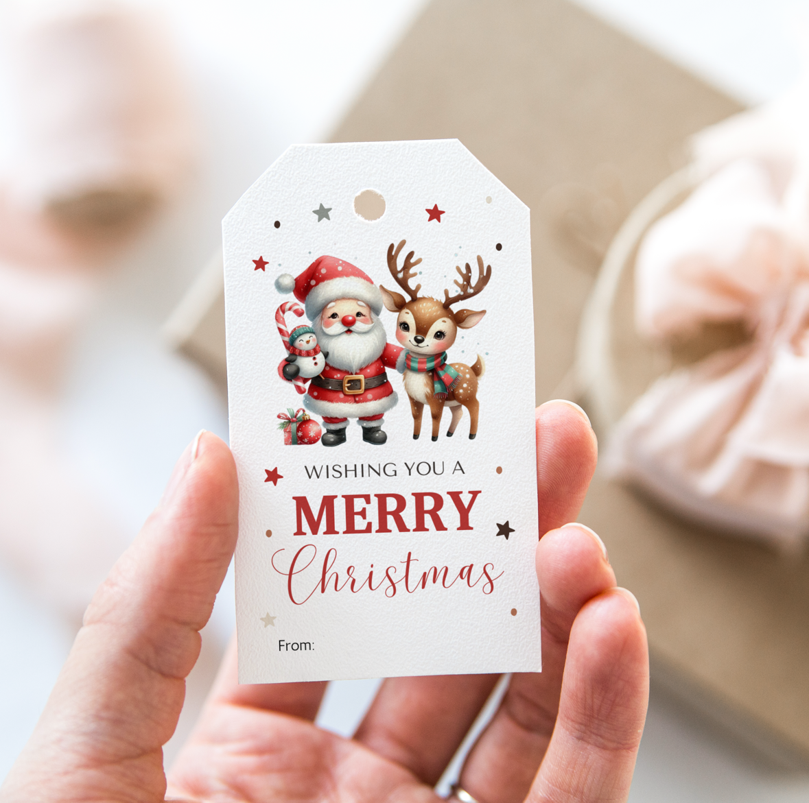 DIGITAL Merry Christmas Gift Tag (1045)