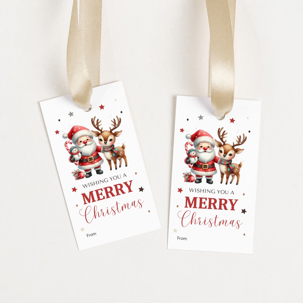 DIGITAL Merry Christmas Gift Tag (1045)
