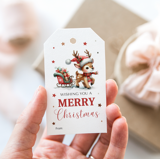 DIGITAL Merry Christmas Gift Tag (1046)