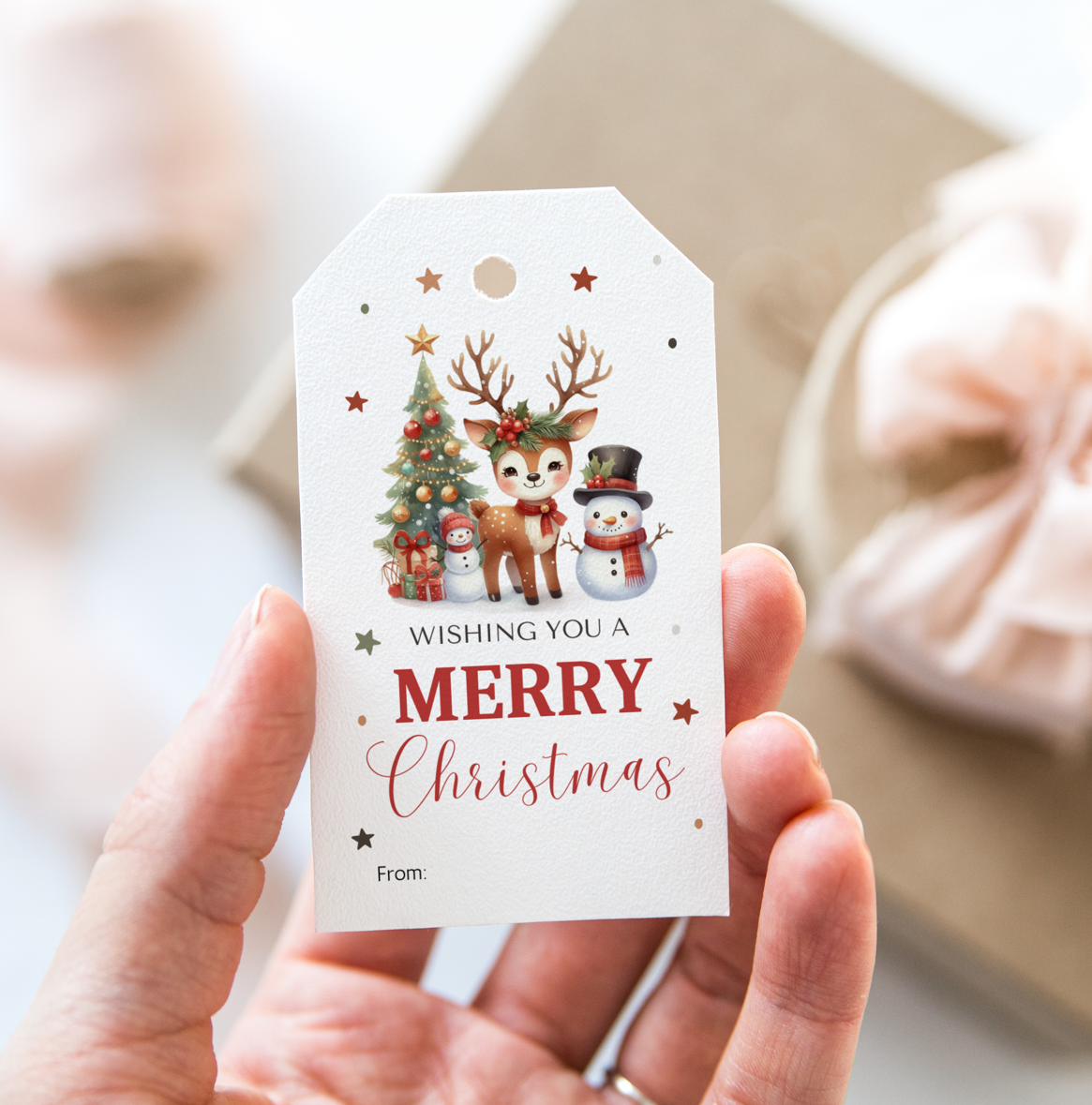 DIGITAL Merry Christmas Gift Tag (1047)