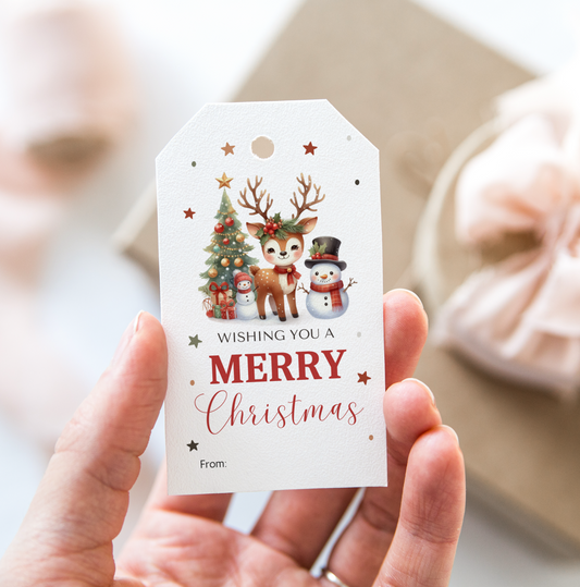 DIGITAL Merry Christmas Gift Tag (1047)