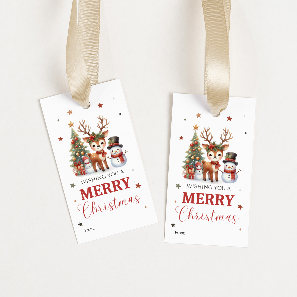 DIGITAL Merry Christmas Gift Tag (1047)