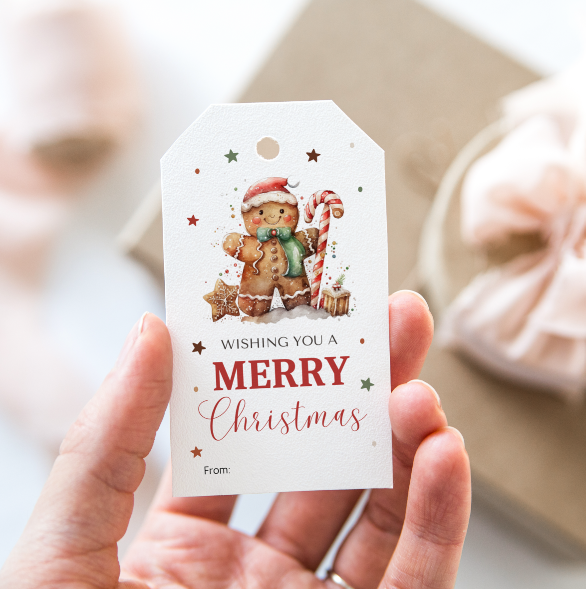 DIGITAL Merry Christmas Gift Tag (1048)