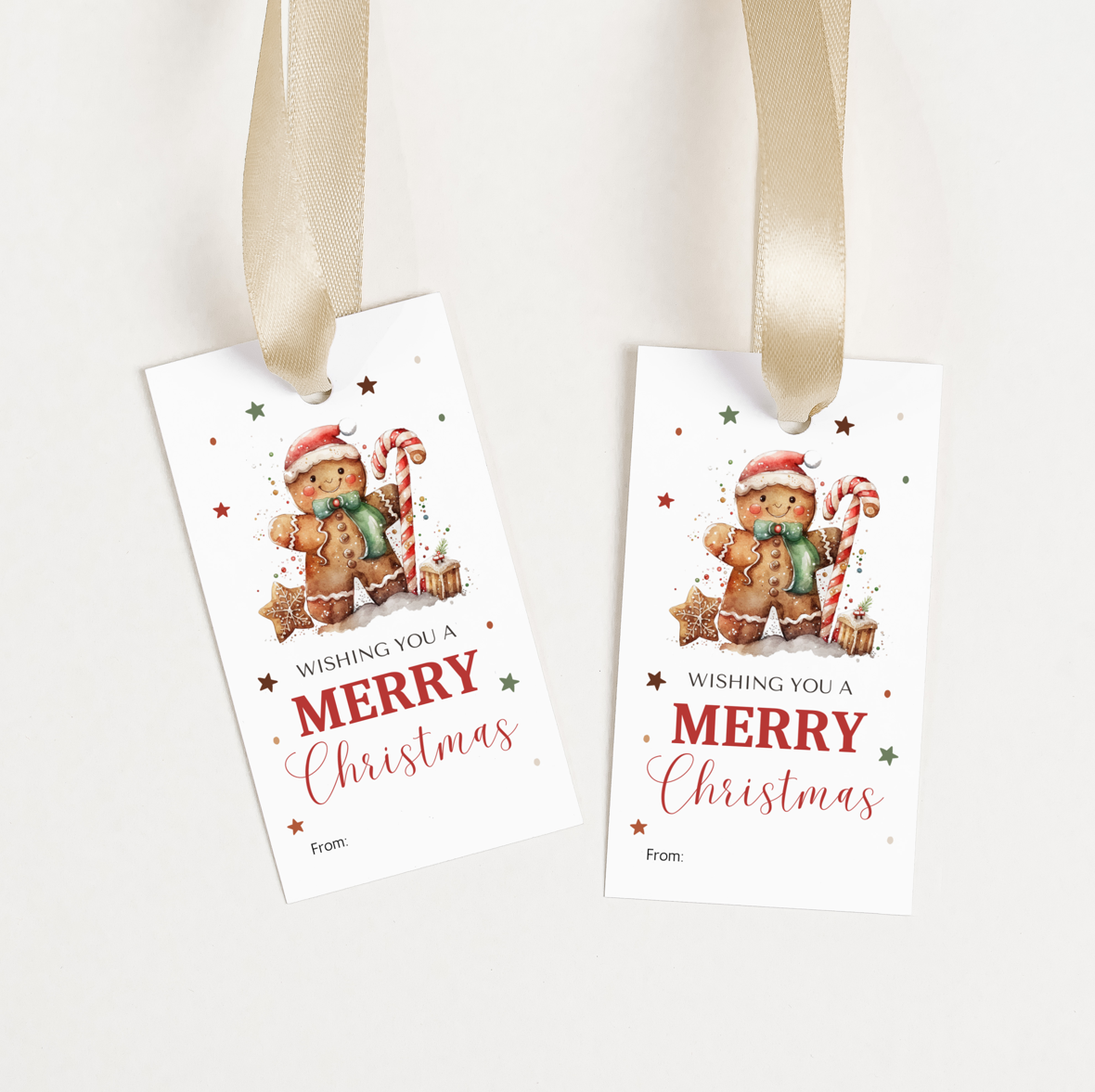 DIGITAL Merry Christmas Gift Tag (1048)