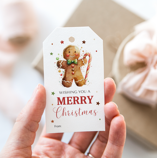DIGITAL Merry Christmas Gift Tag (1049)