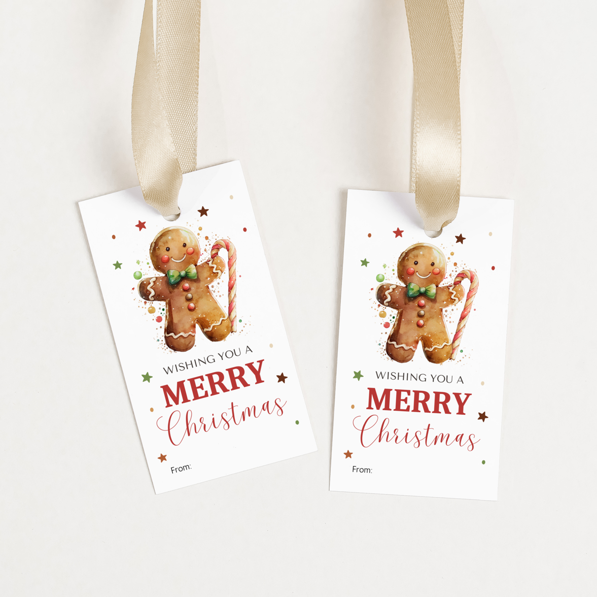 DIGITAL Merry Christmas Gift Tag (1049)