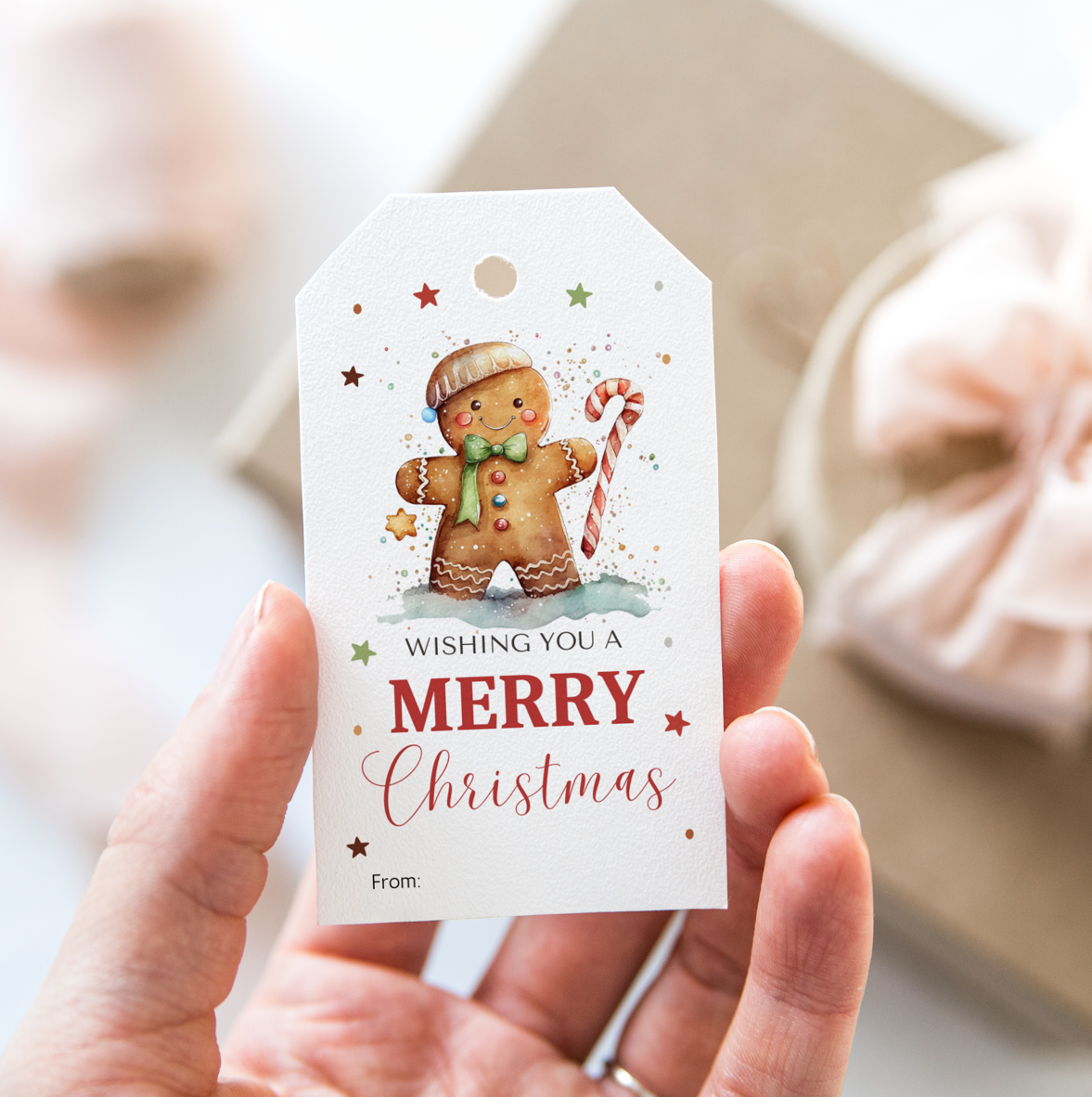DIGITAL Merry Christmas Gift Tag (1050)
