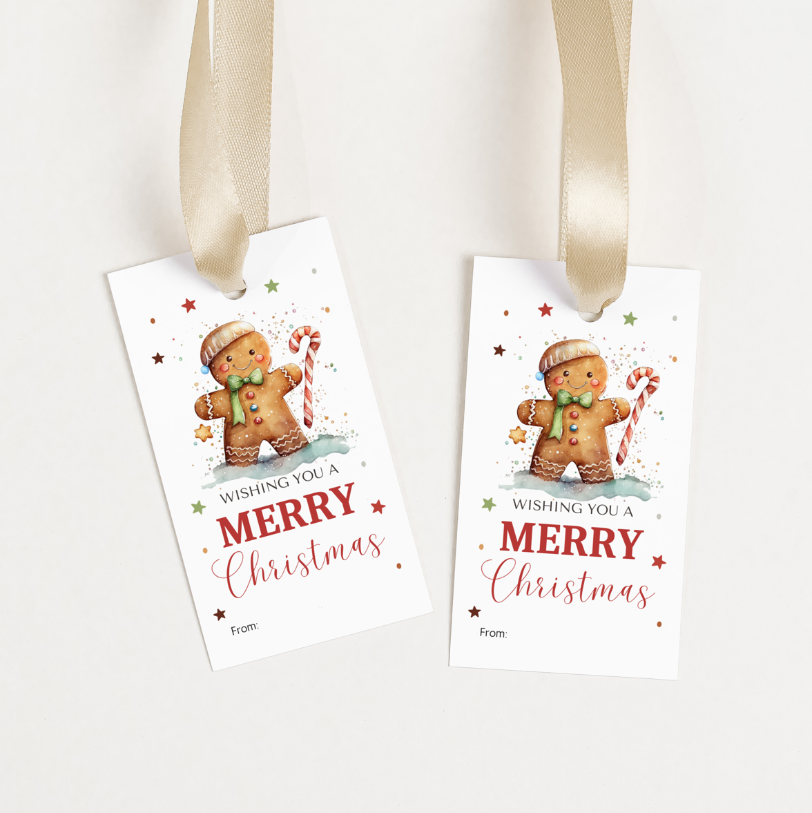 DIGITAL Merry Christmas Gift Tag (1050)