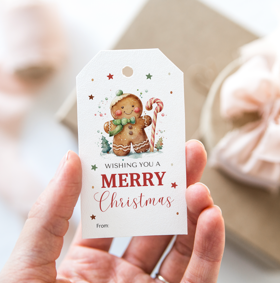 DIGITAL Merry Christmas Gift Tag (1051)