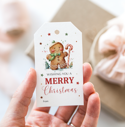 DIGITAL Merry Christmas Gift Tag (1051)