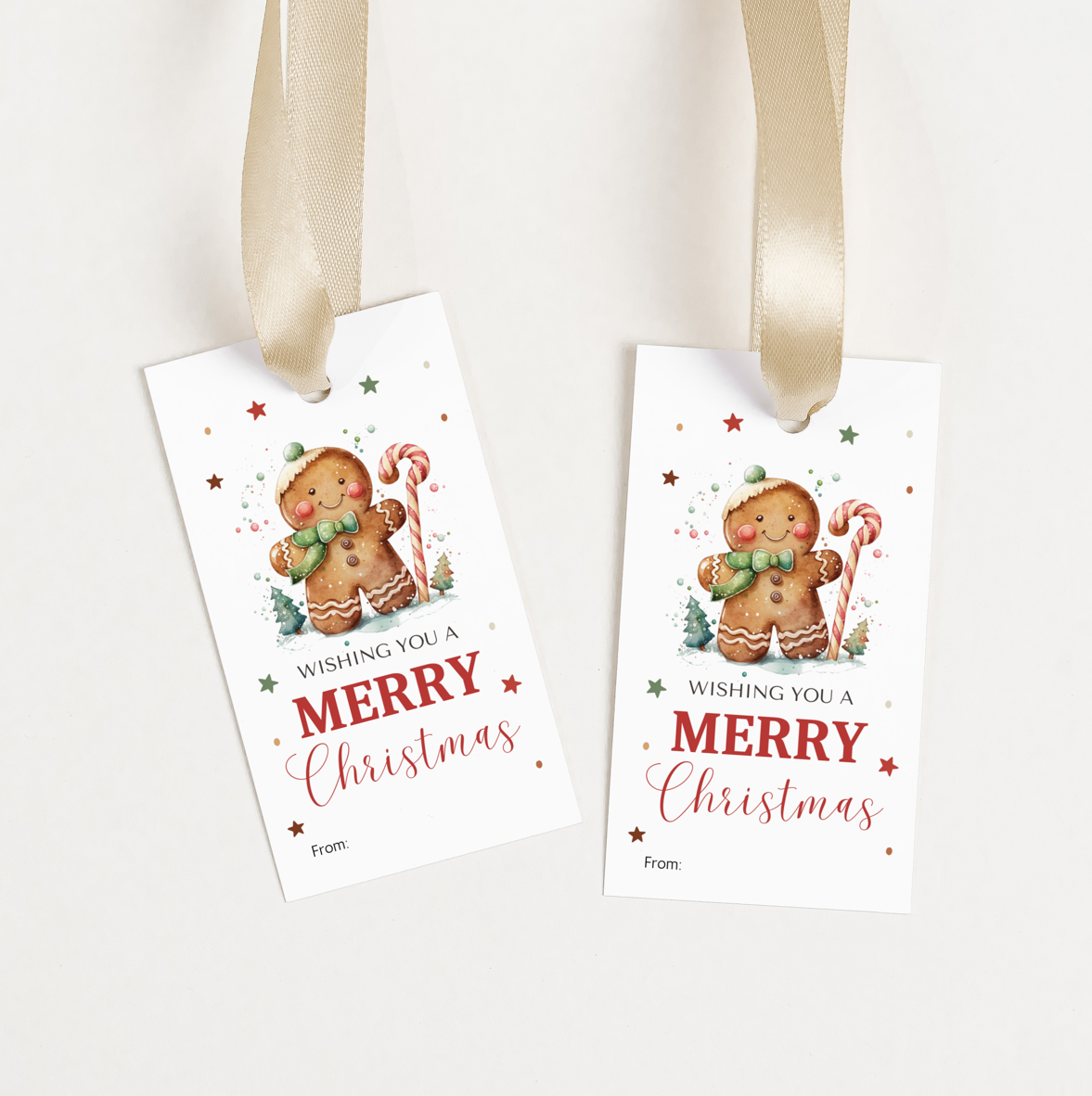 DIGITAL Merry Christmas Gift Tag (1051)