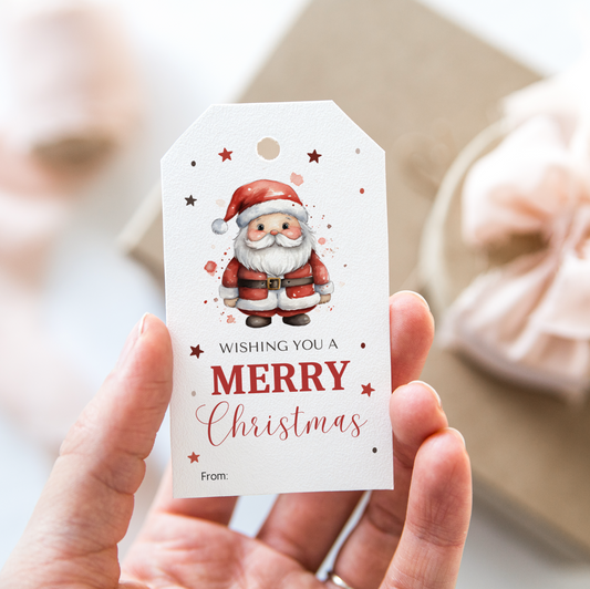 DIGITAL Merry Christmas Gift Tag (1052)