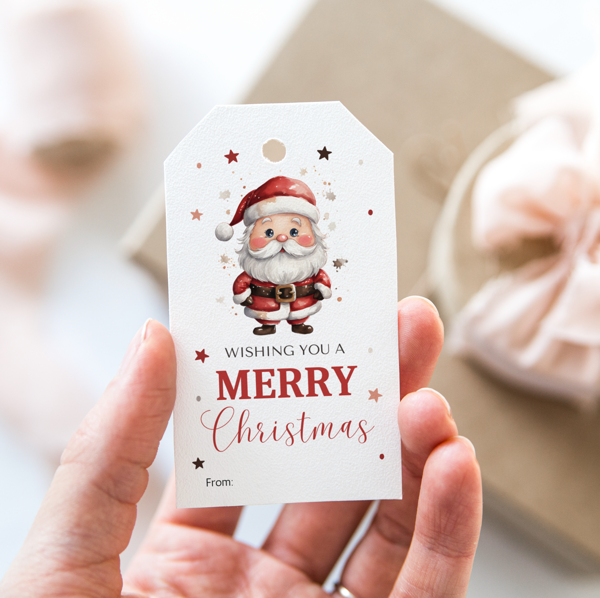 DIGITAL Merry Christmas Gift Tag (1053)