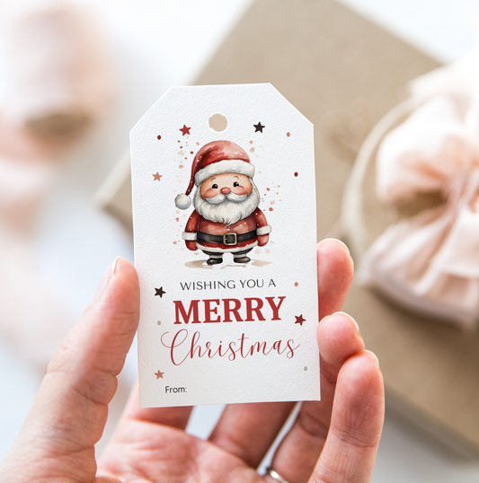 DIGITAL Merry Christmas Gift Tag (1055)