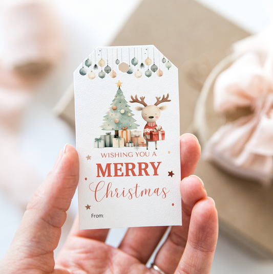 DIGITAL Merry Christmas Gift Tag (1059)