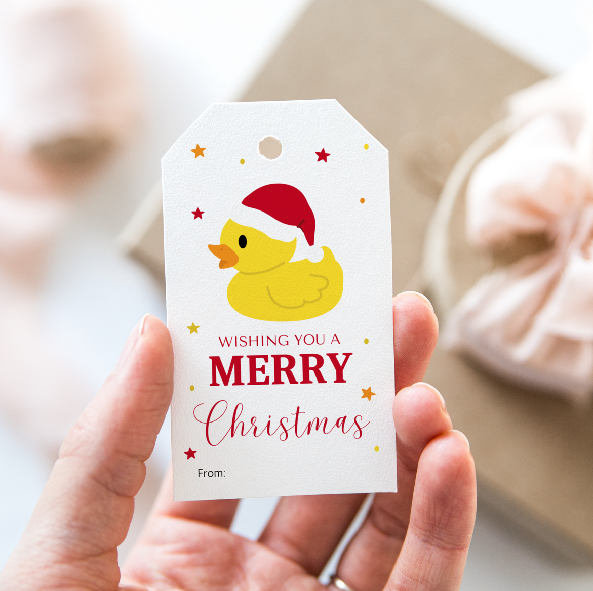 DIGITAL Duck Merry Christmas Gift Tag (1066)