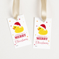 DIGITAL Duck Merry Christmas Gift Tag (1066)