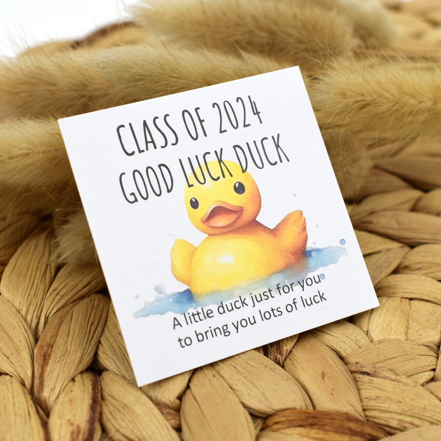 Class of 2024 Good Luck Duck