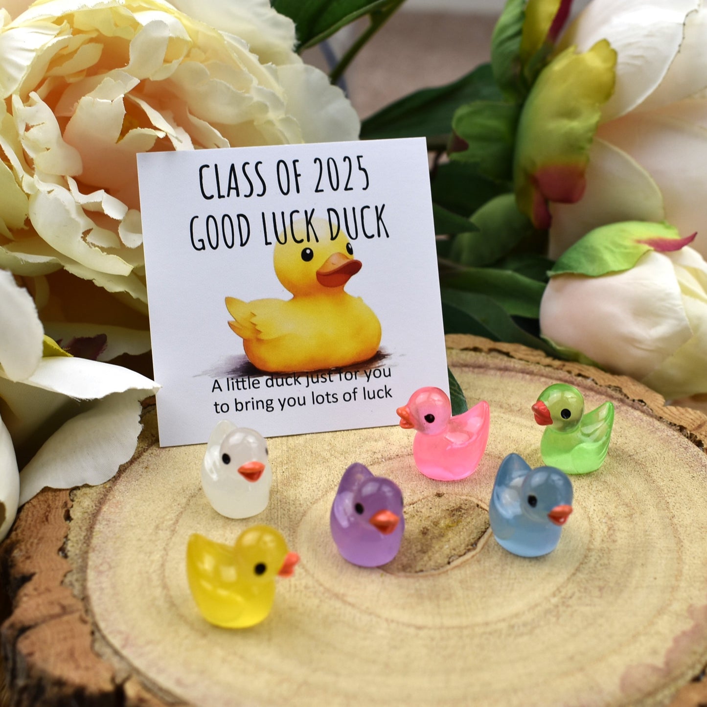 Class of 2025 Luminous Good Luck Duck