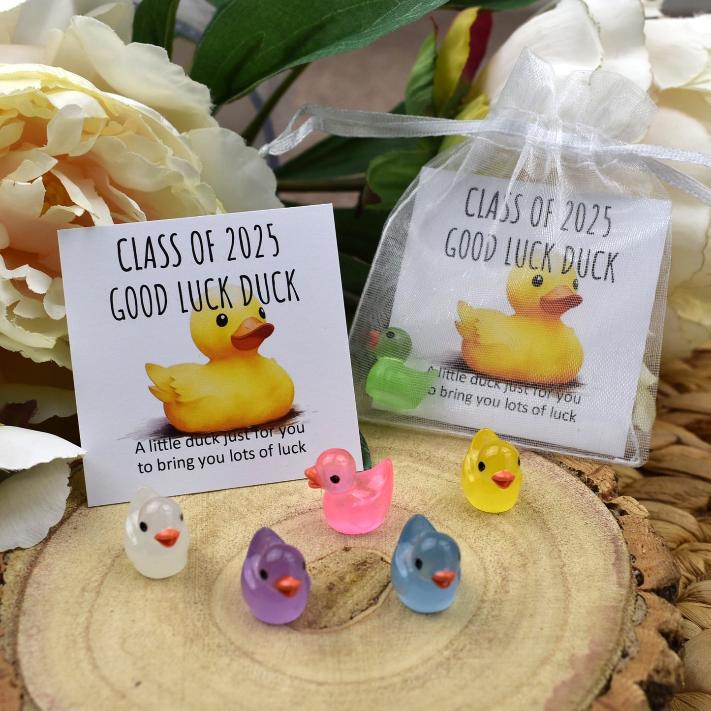 Class of 2025 Luminous Good Luck Duck