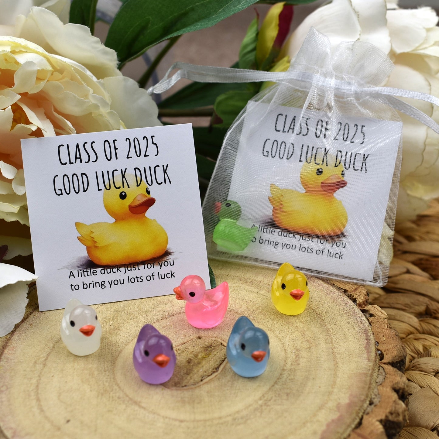 Class of 2025 Luminous Good Luck Duck