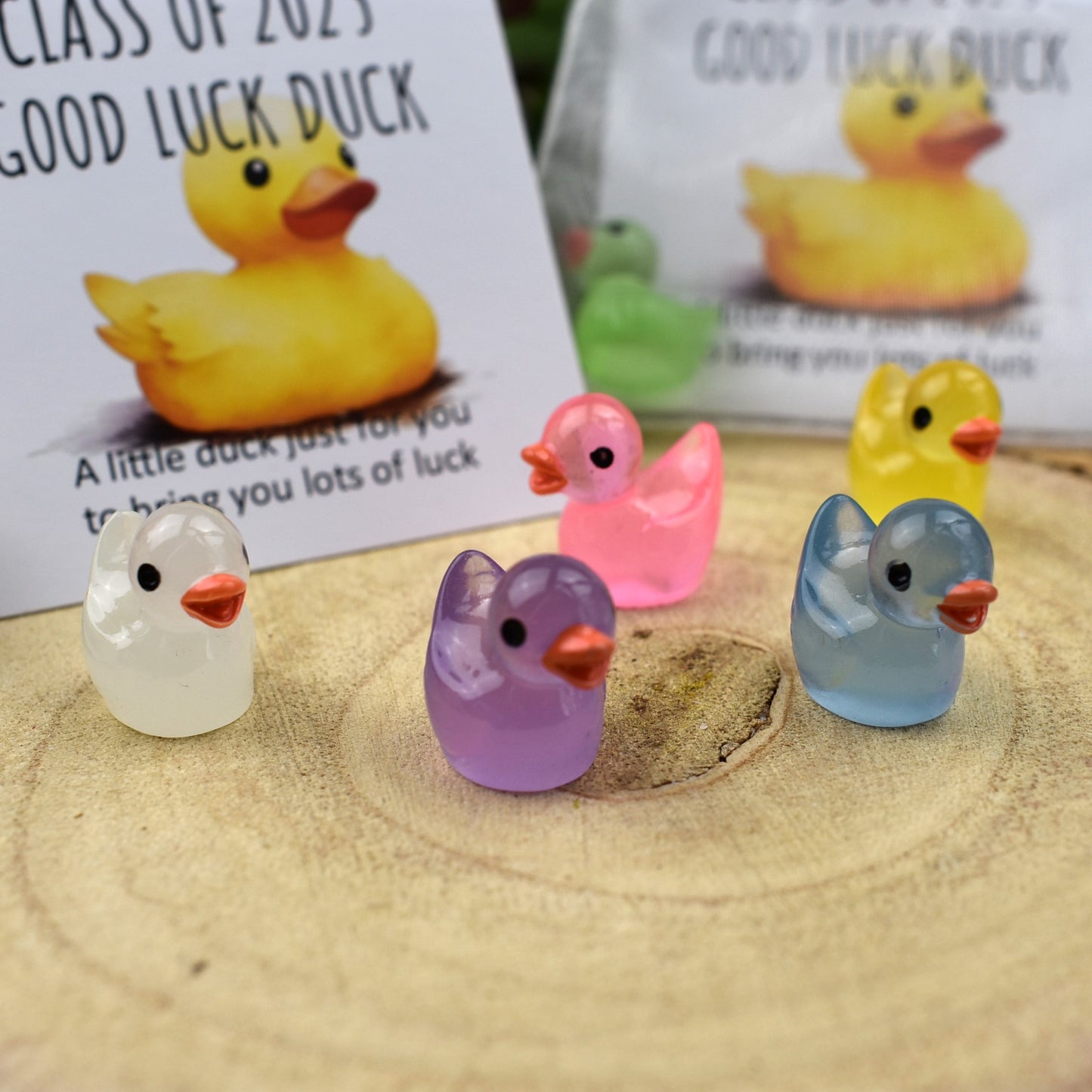 Class of 2025 Luminous Good Luck Duck