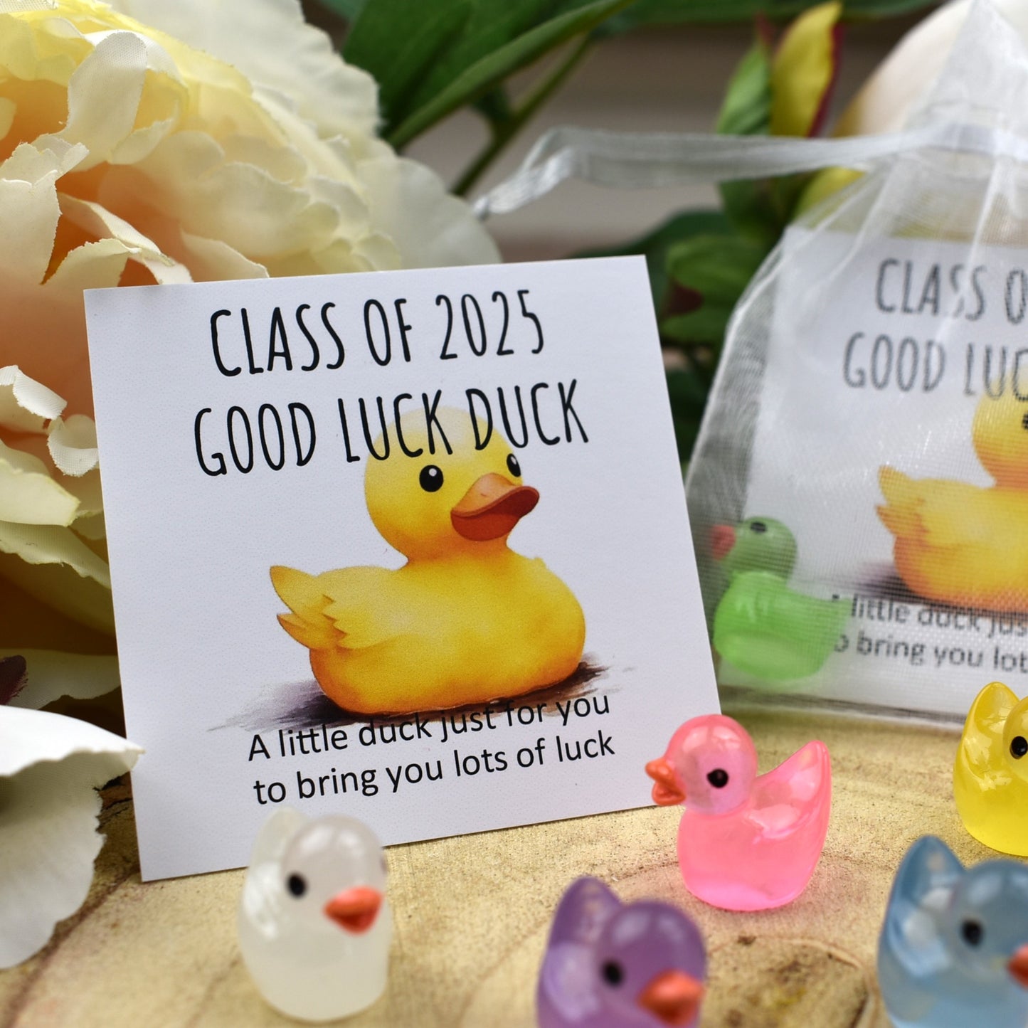Class of 2025 Luminous Good Luck Duck