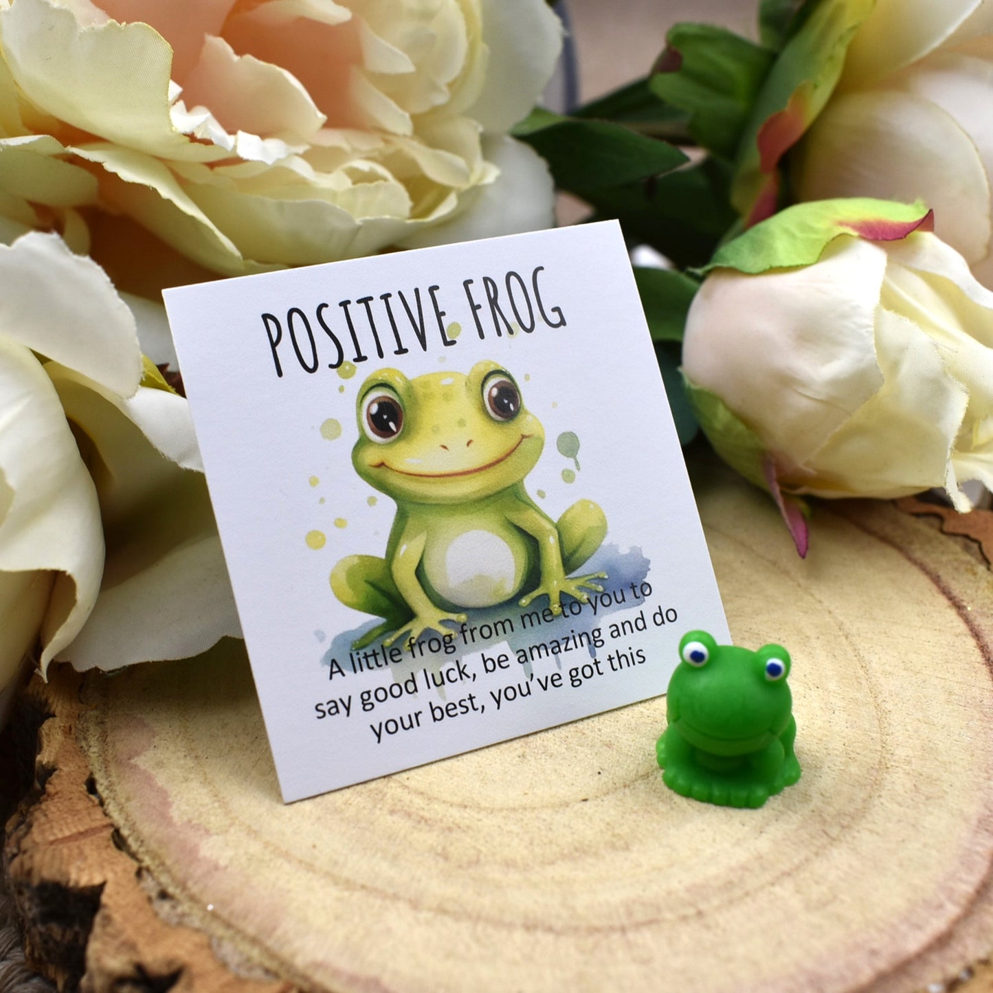 Bulk Priced | Positive Frog - You've Got This (7010)