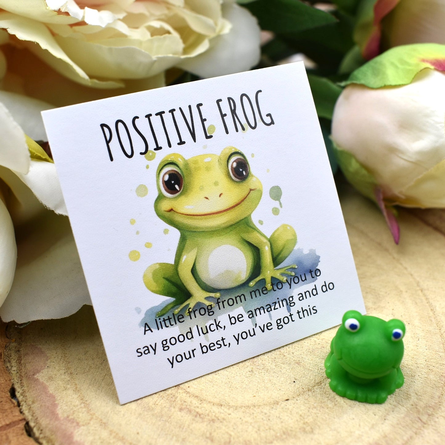 Bulk Priced | Positive Frog - You've Got This (7010)