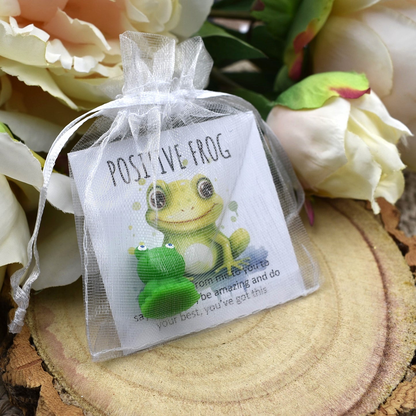 Bulk Priced | Positive Frog - You've Got This (7010)