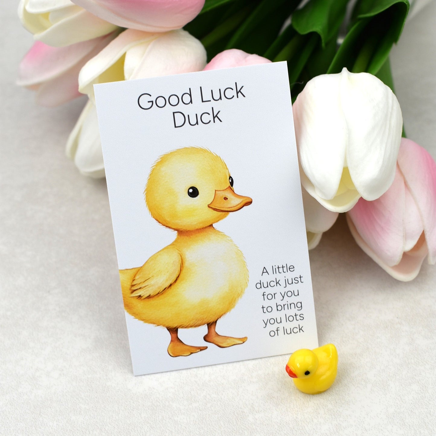 Good Luck Duck