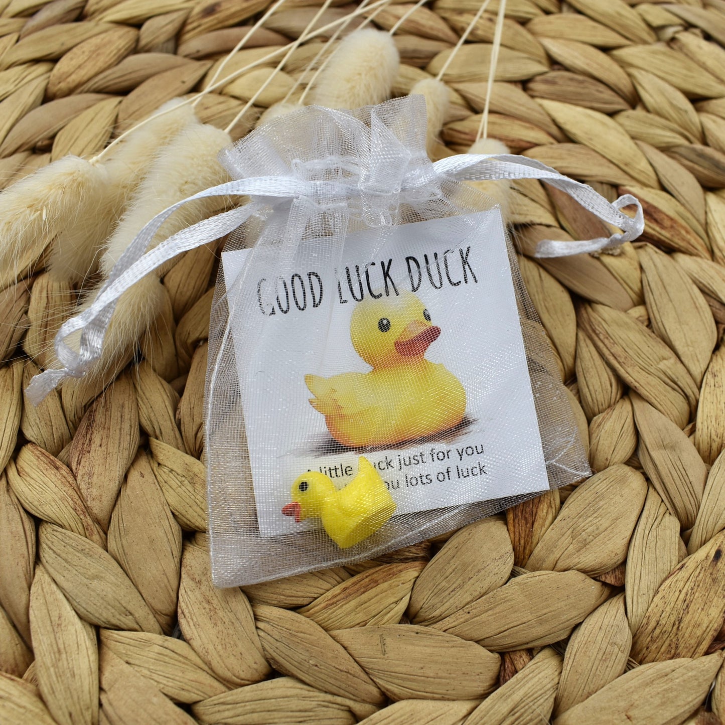 Good Luck Duck