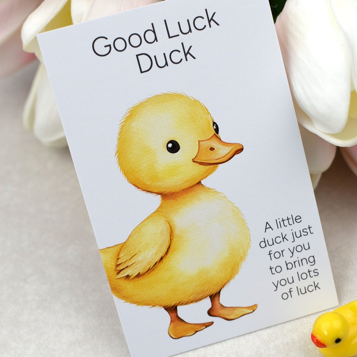 Good Luck Duck