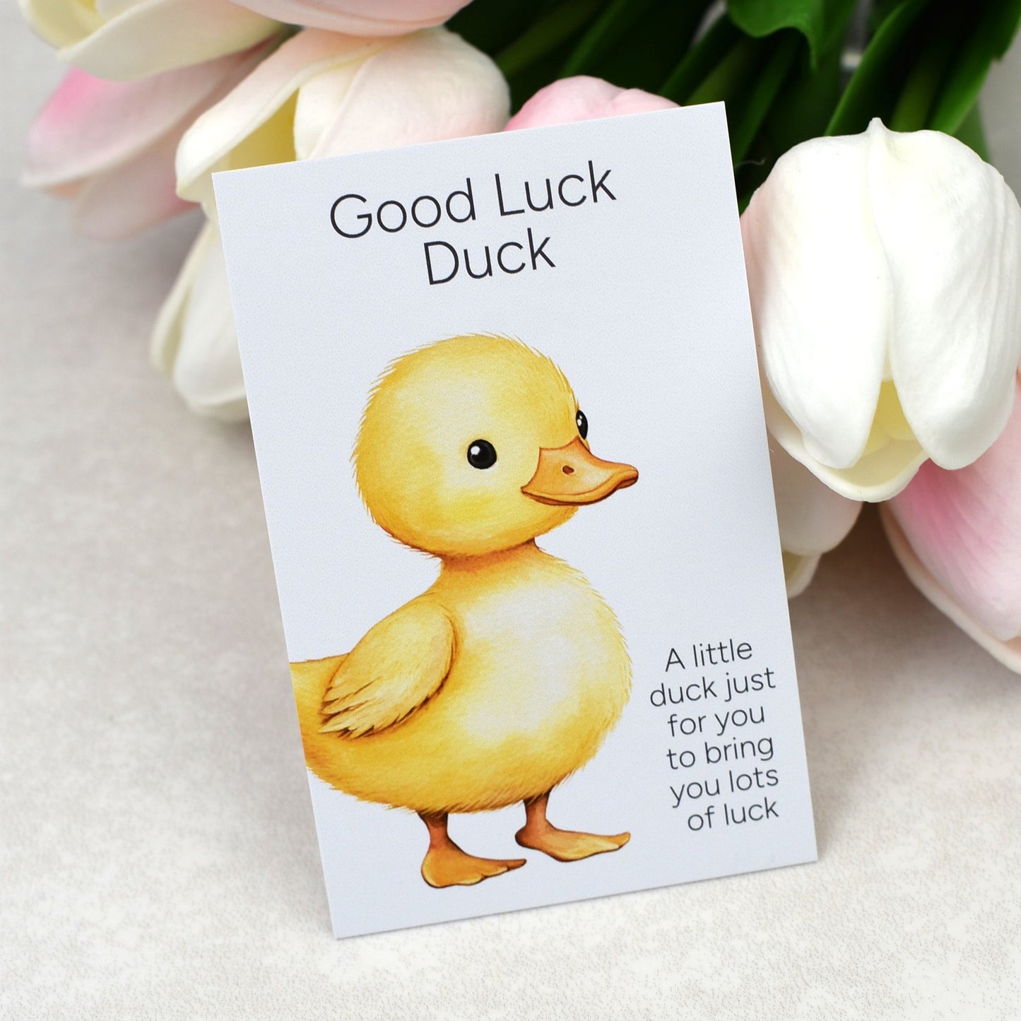 Good Luck Duck