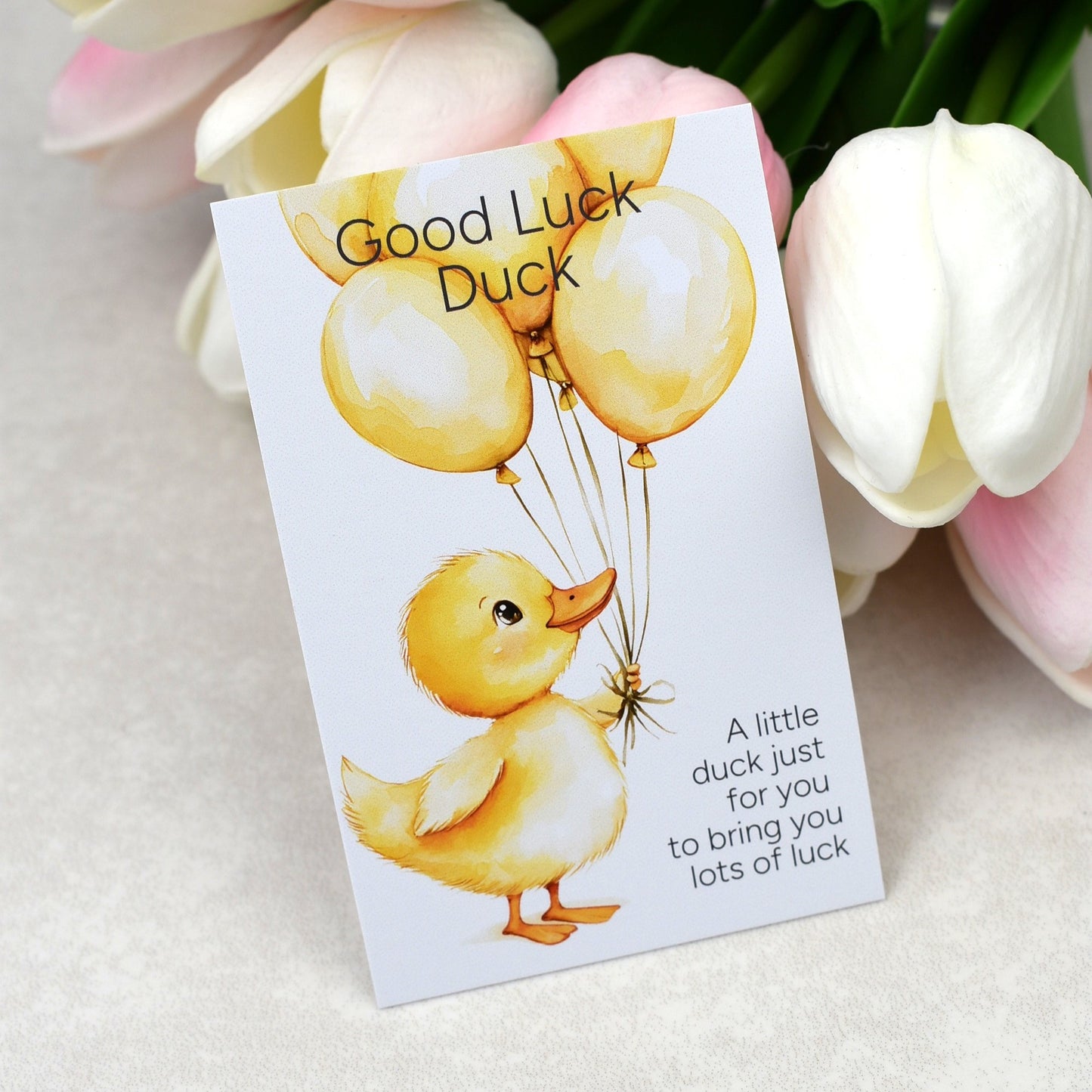 Good Luck Duck