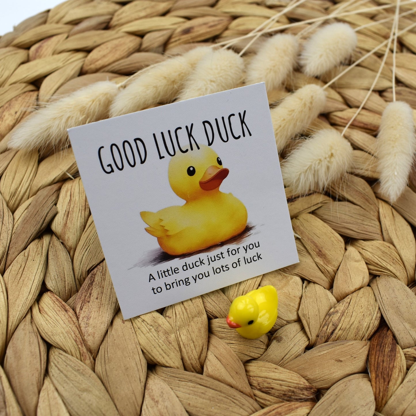 Good Luck Duck