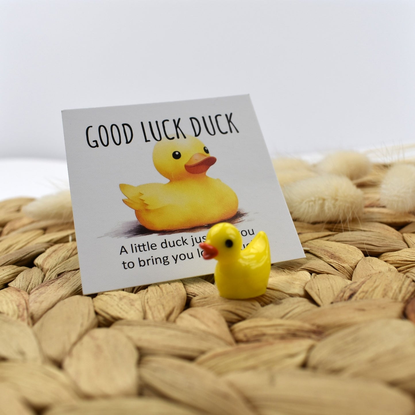 Good Luck Duck