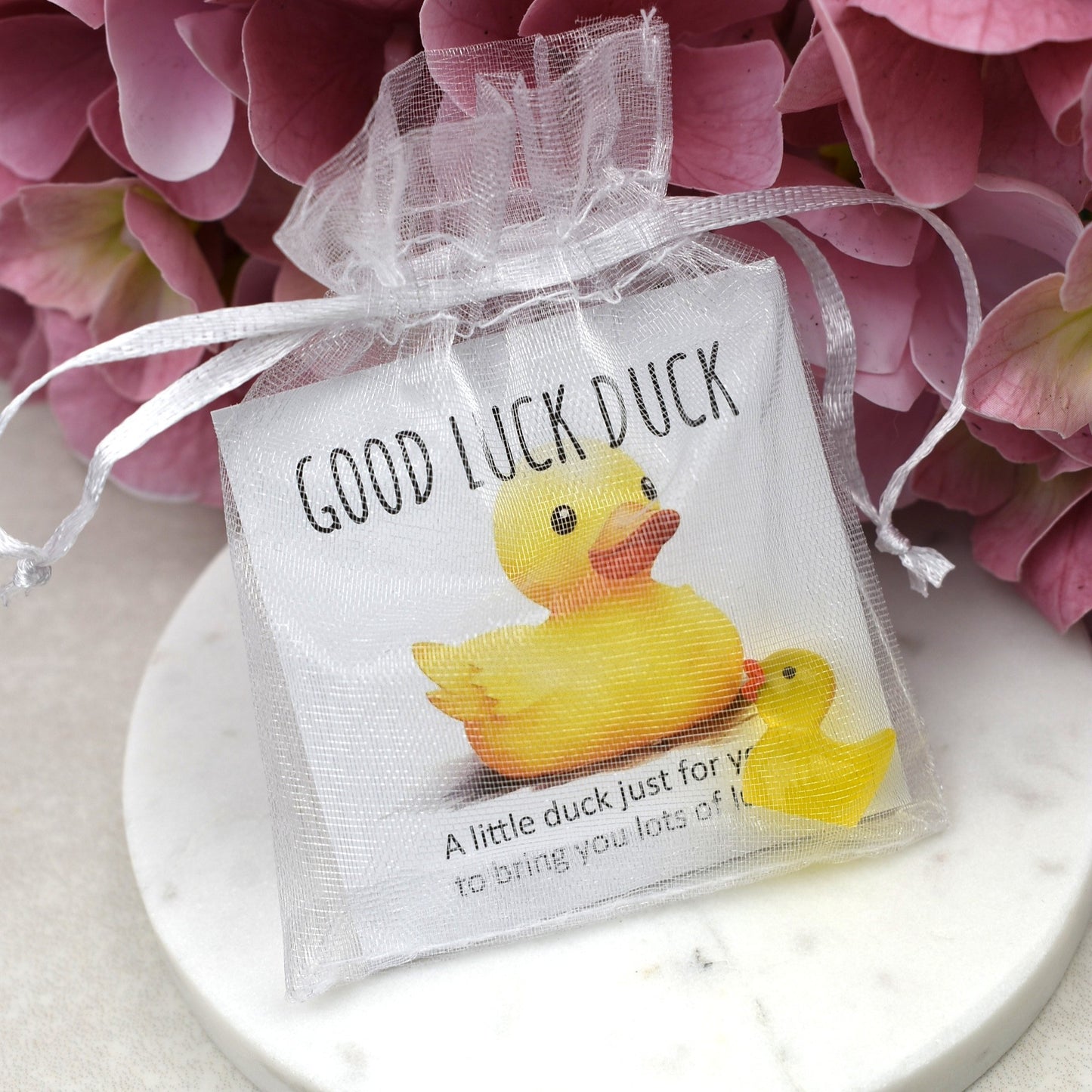 CLEARANCE - Good Luck Duck - Luminous