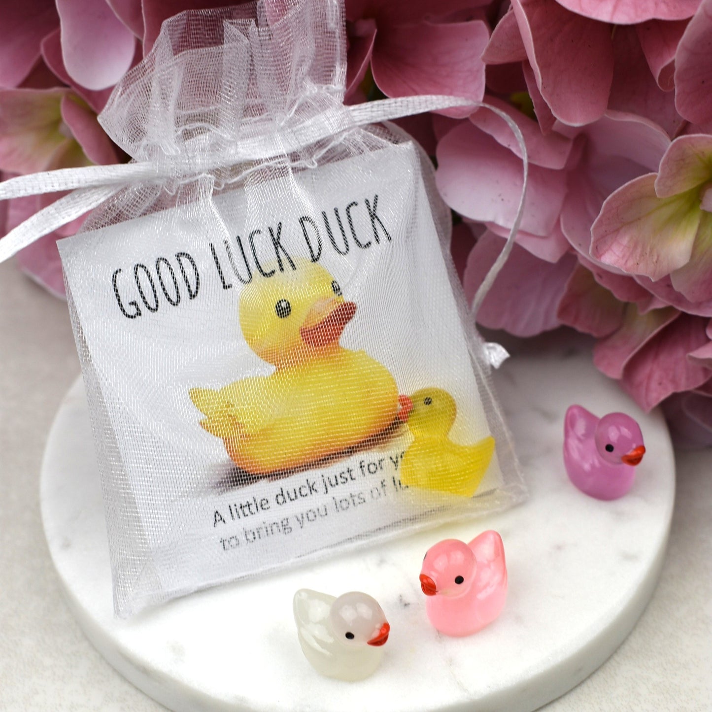 CLEARANCE - Good Luck Duck - Luminous