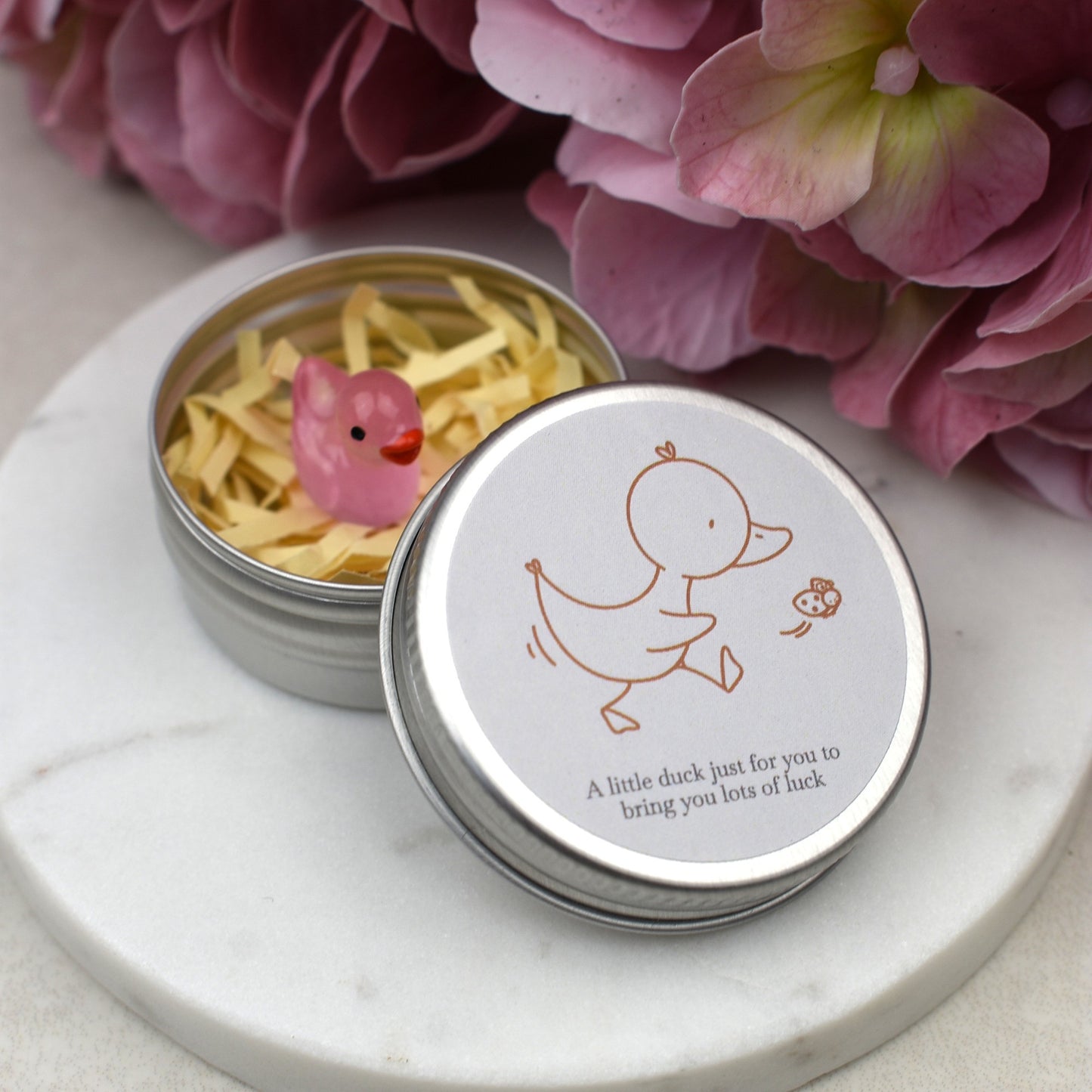 Good Luck Duck Tin - Ladybird - Luminous Duck
