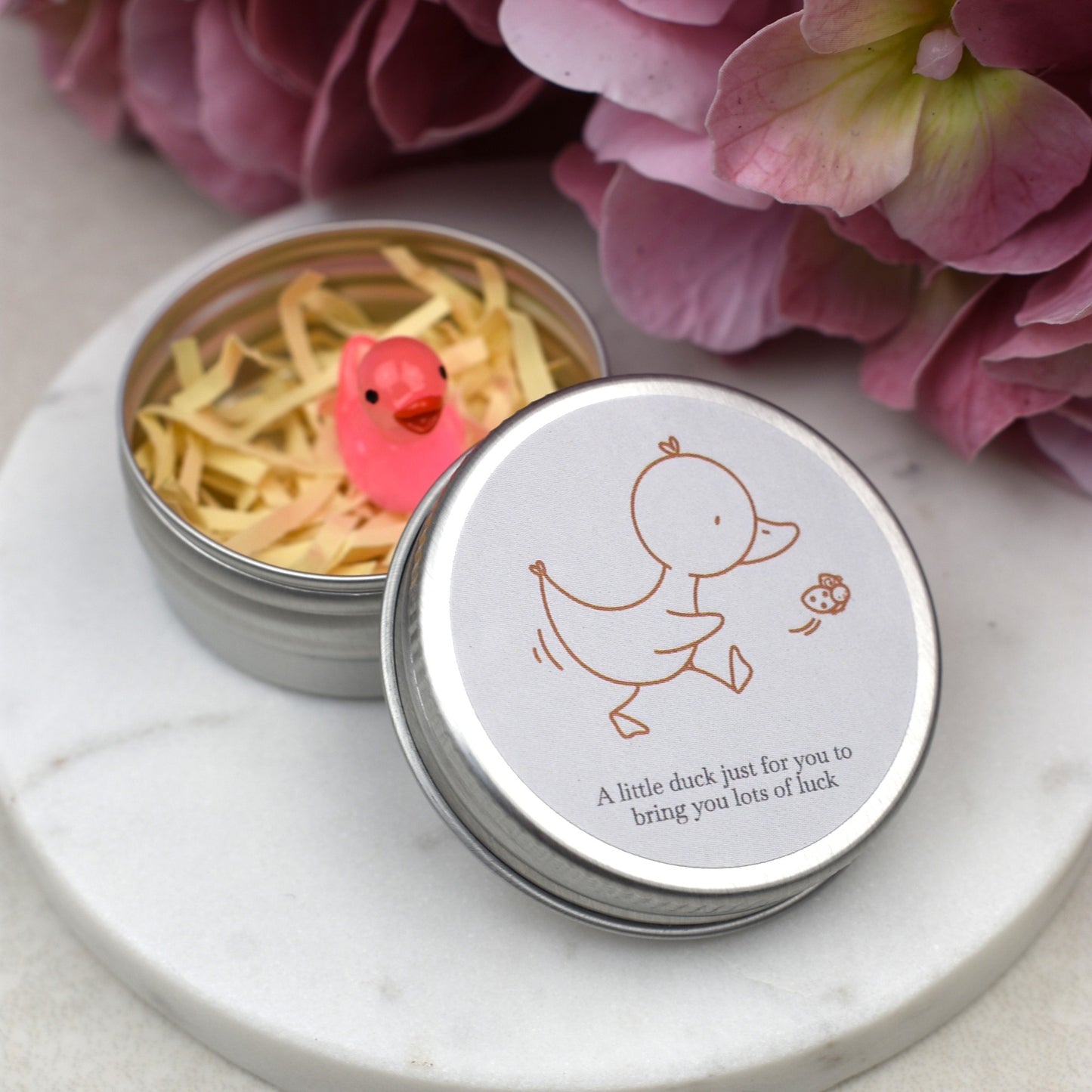 Good Luck Duck Tin - Ladybird - Luminous Duck