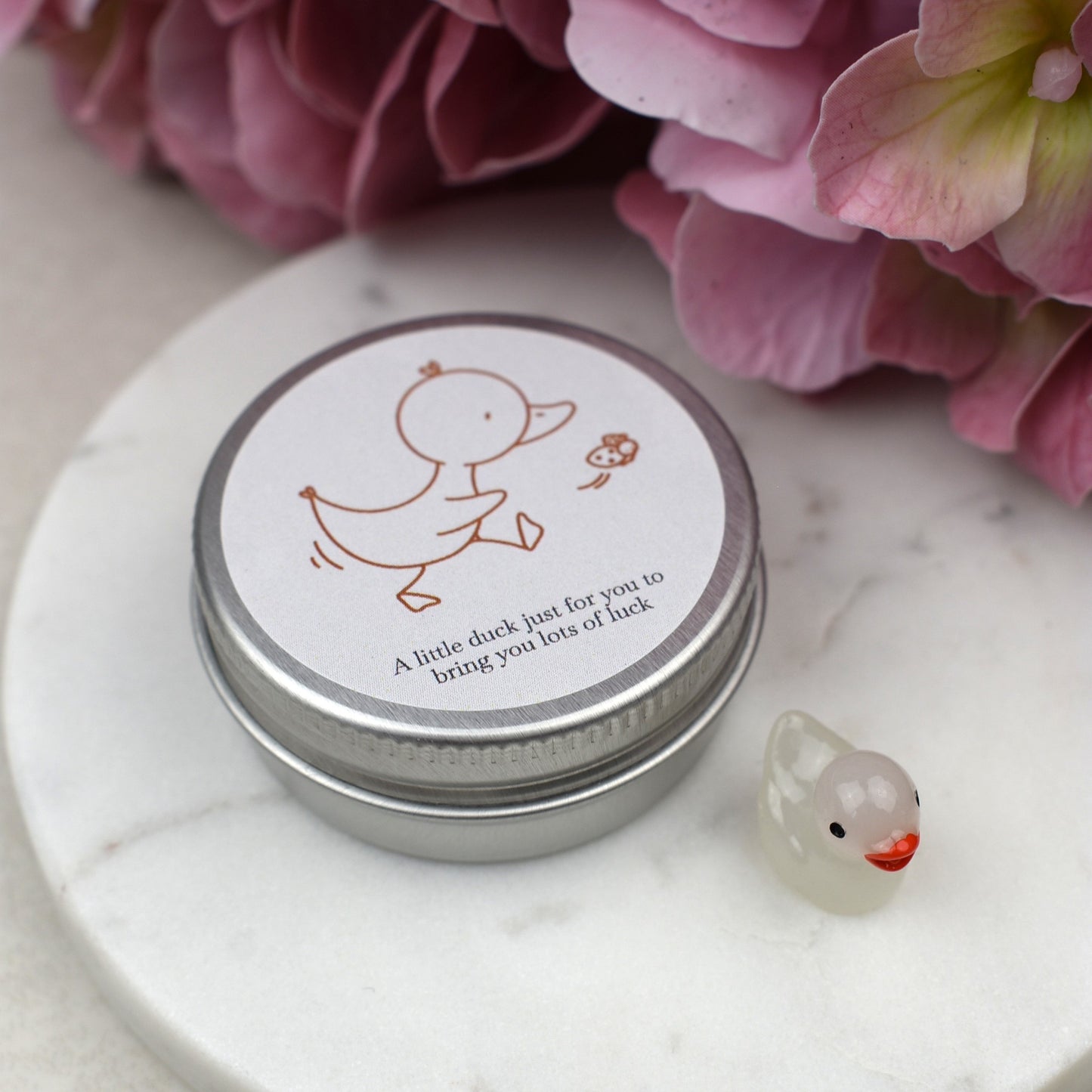 Good Luck Duck Tin - Ladybird - Luminous Duck