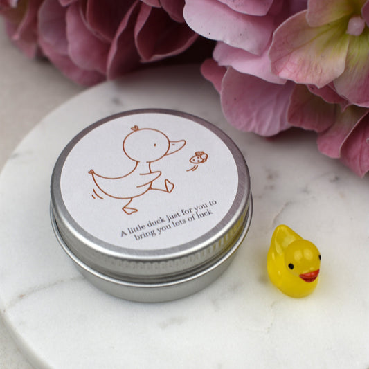 Good Luck Duck Tin - Ladybird - Luminous Duck