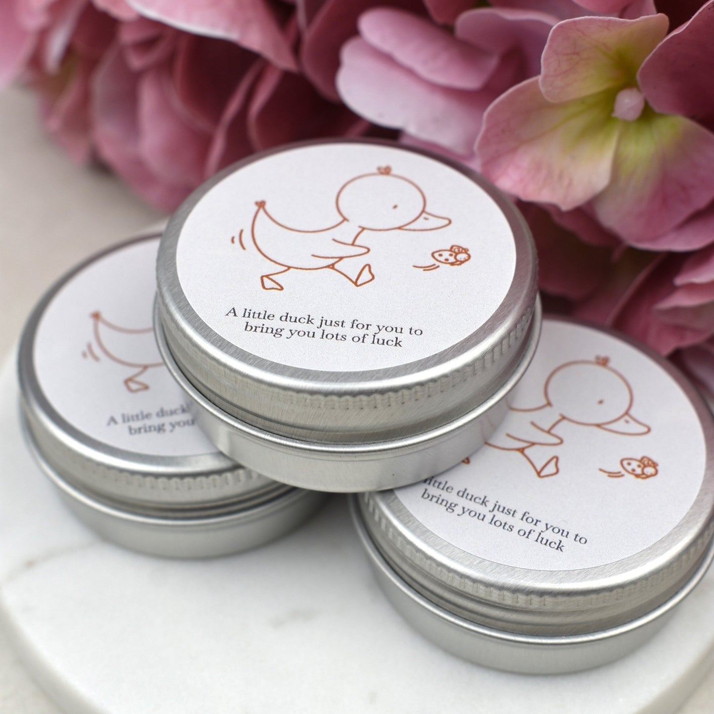 Good Luck Duck Tin - Ladybird - Luminous Duck