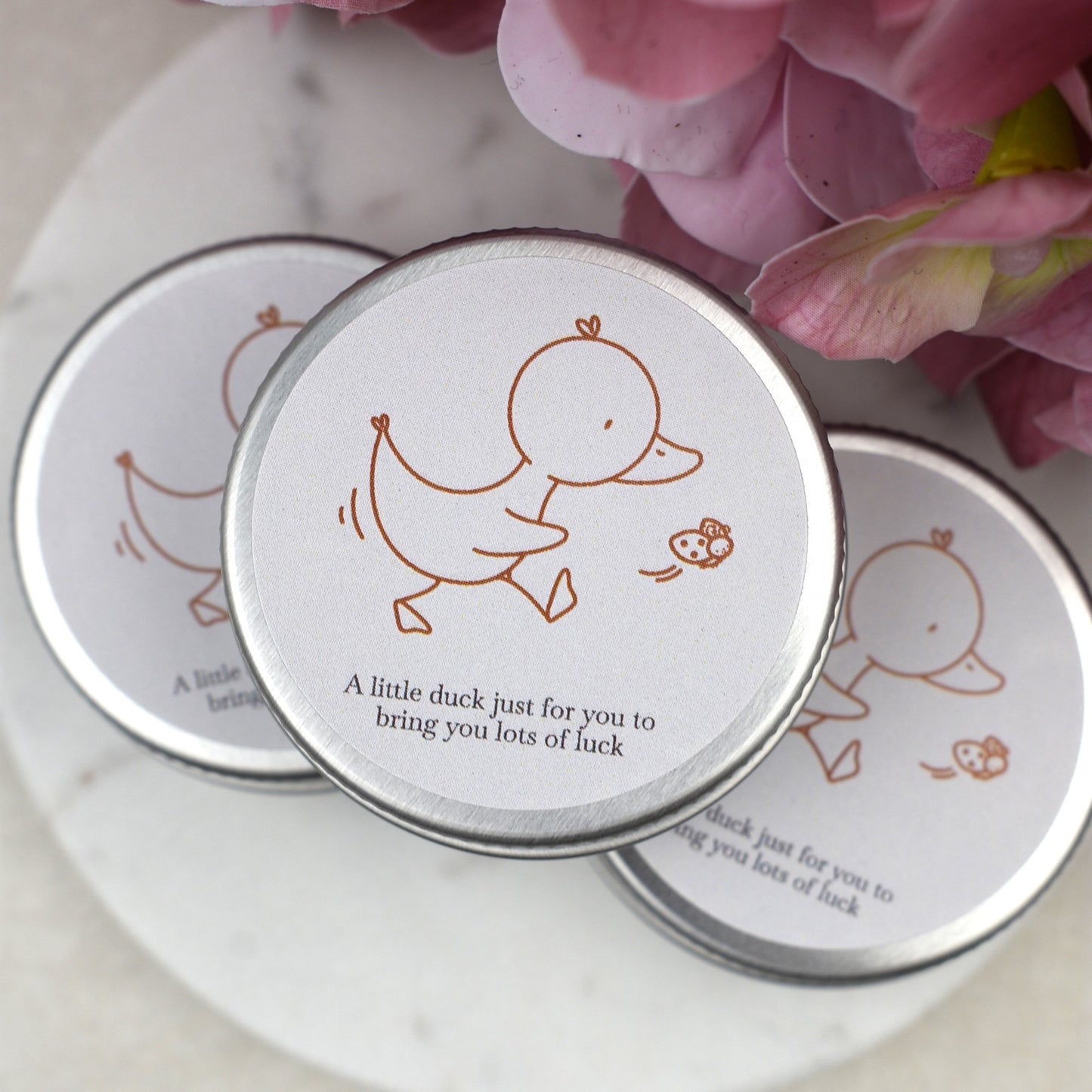 Good Luck Duck Tin - Ladybird - Luminous Duck