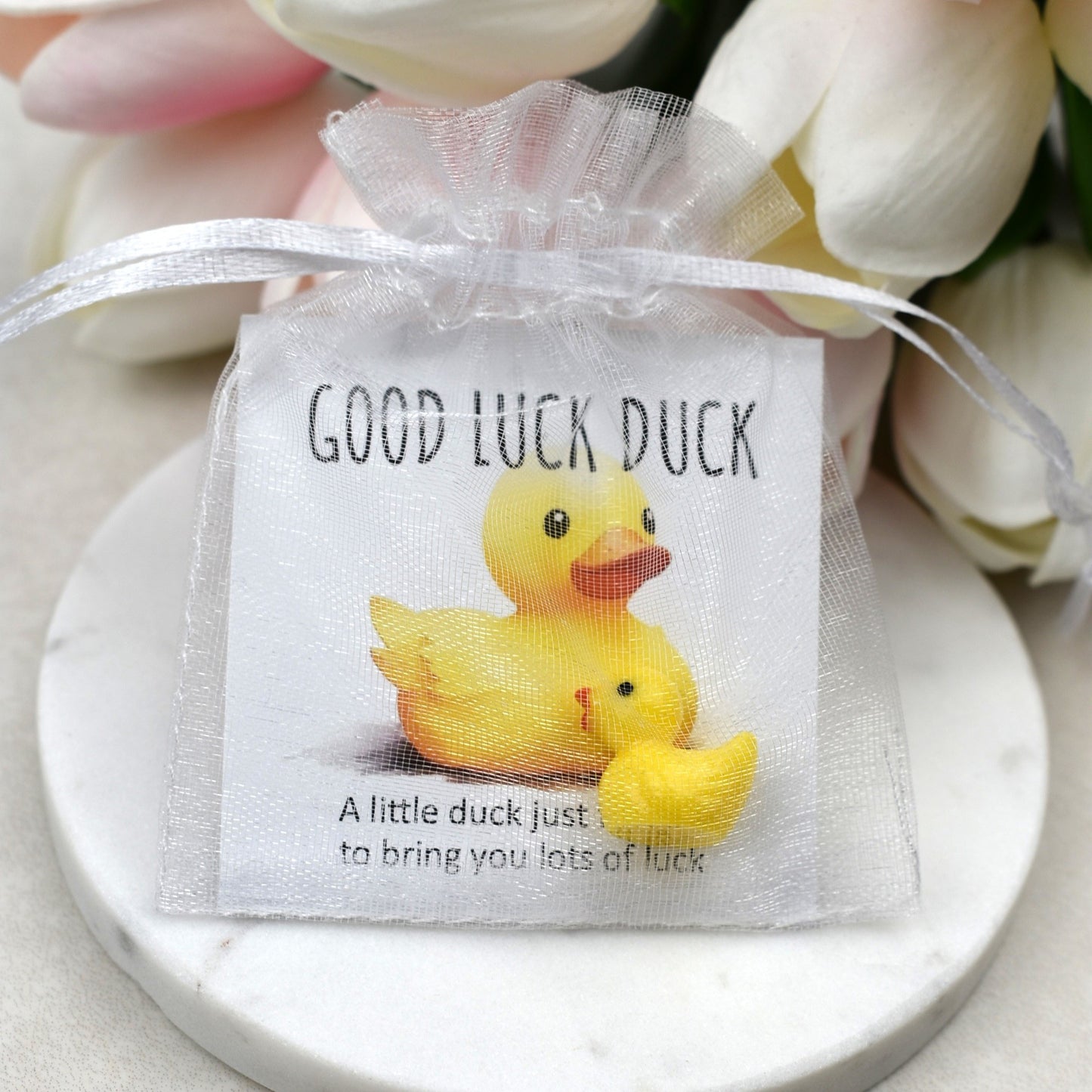 CLEARANCE - Good Luck Duck