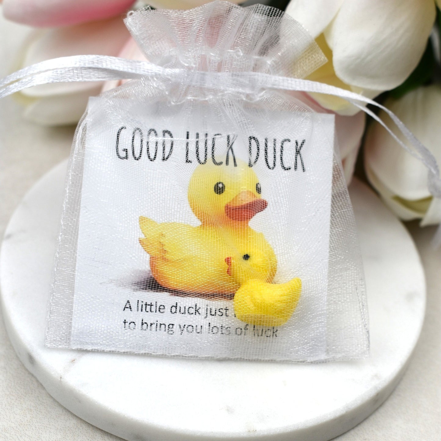 CLEARANCE - Good Luck Duck
