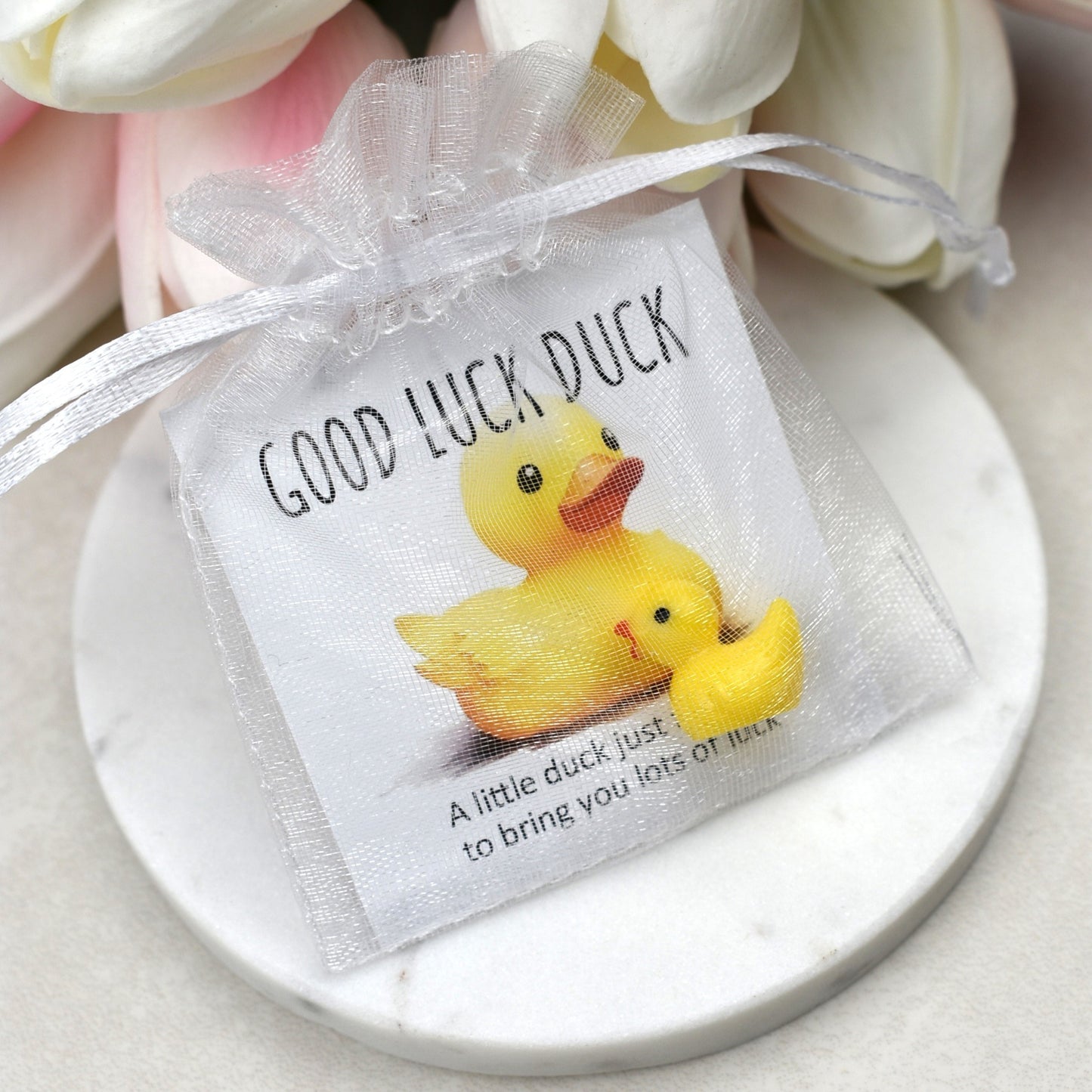 CLEARANCE - Good Luck Duck