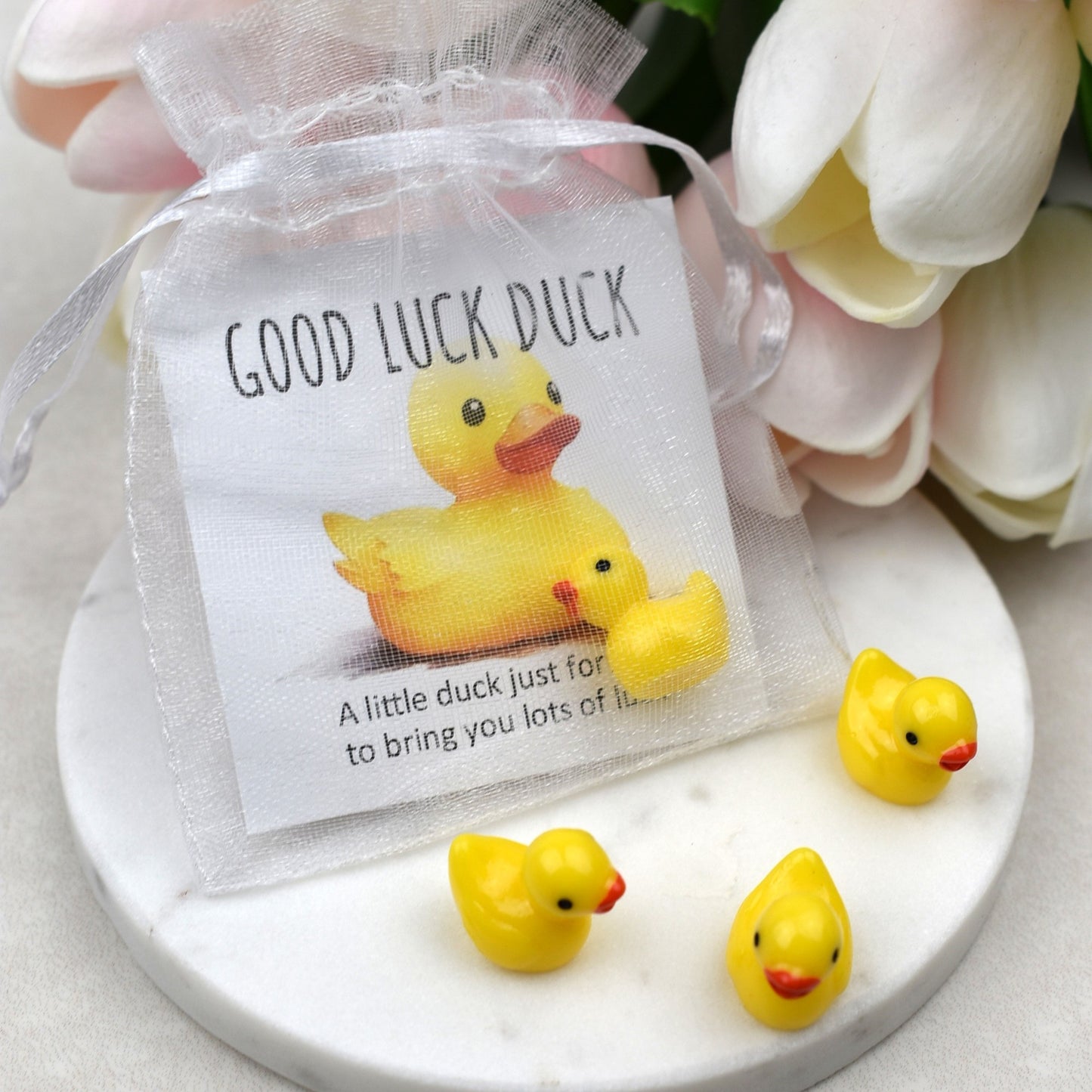 CLEARANCE - Good Luck Duck